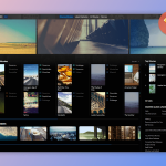 Movie Streaming and Downloading Websites